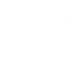 censis-copilot-icon2